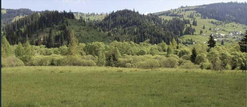 Vatra Dornei, Suceava.