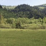 Vatra Dornei, Suceava